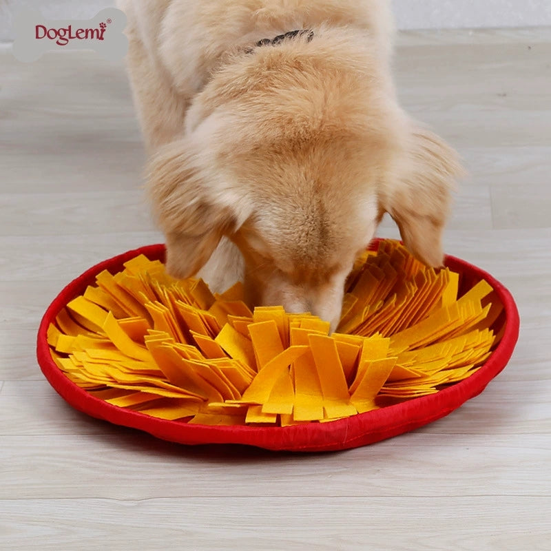 Snuffle Mat & Slow-Feed Bowl