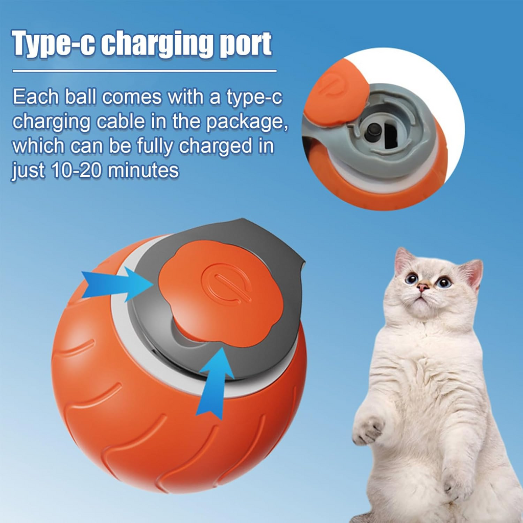 Speedy Tail Interactive Cat Ball