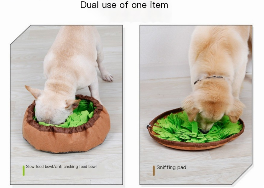 Snuffle Mat & Slow-Feed Bowl